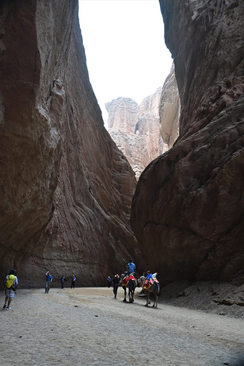 新疆ウィグル自治区・の写真　炎熱の谷から緑の天山へ2-3