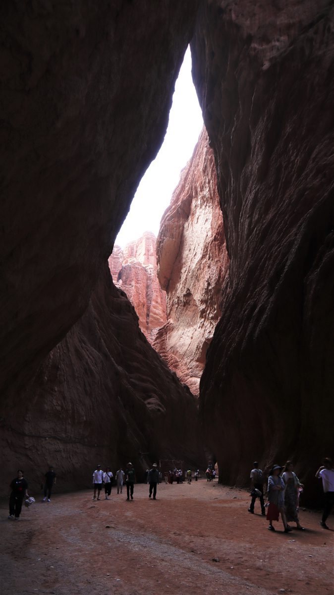 新疆ウィグル自治区・の写真　炎熱の谷から緑の天山へ2-4