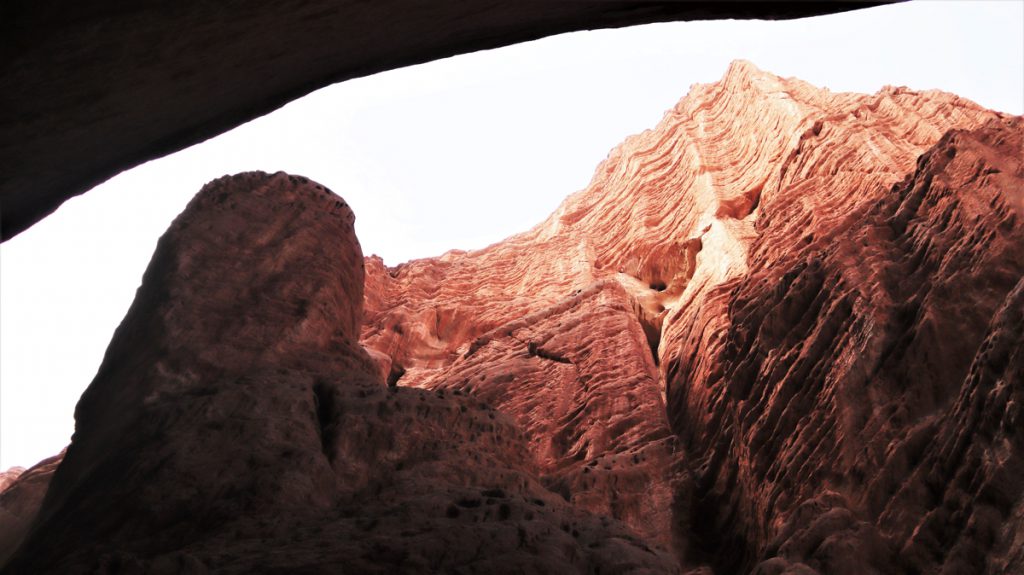 新疆ウィグル自治区・の写真　炎熱の谷から緑の天山へ2-5