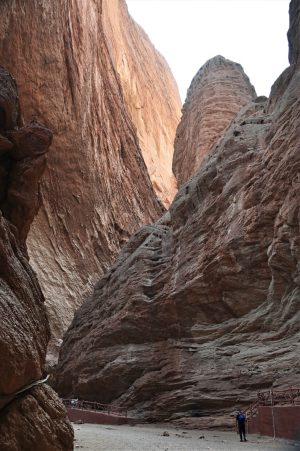 新疆ウィグル自治区・の写真　炎熱の谷から緑の天山へ2-6