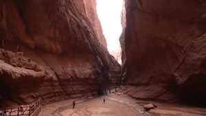 新疆ウィグル自治区・の写真　炎熱の谷から緑の天山へ2-7