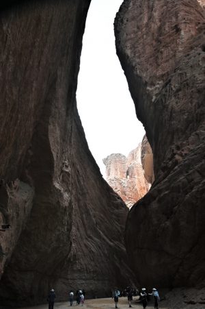 新疆ウィグル自治区・の写真　炎熱の谷から緑の天山へ2-8