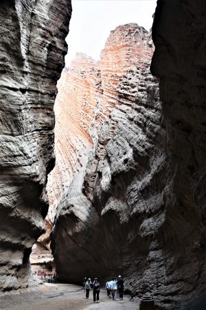 新疆ウィグル自治区・の写真　炎熱の谷から緑の天山へ2-9