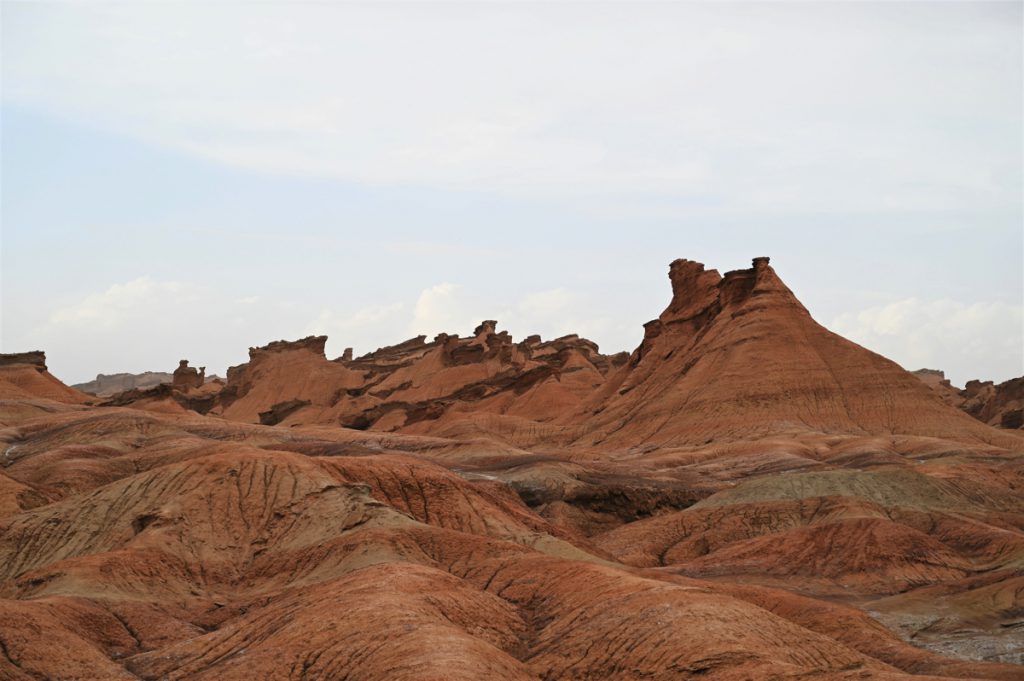 新疆ウィグル自治区・の写真 炎熱の谷から緑の天山へ3-2