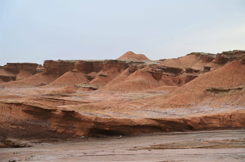 新疆ウィグル自治区・の写真 炎熱の谷から緑の天山へ3-3