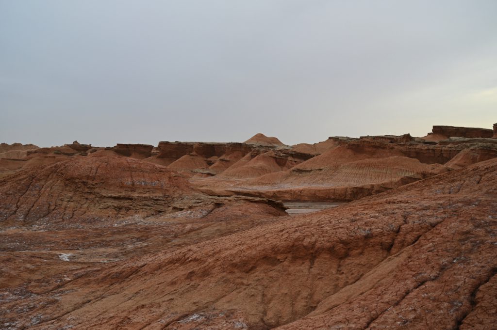 新疆ウィグル自治区・の写真 炎熱の谷から緑の天山へ3-4