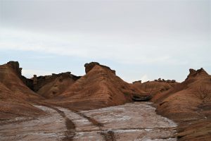 新疆ウィグル自治区・の写真 炎熱の谷から緑の天山へ3-6