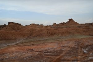 新疆ウィグル自治区・の写真 炎熱の谷から緑の天山へ3-8