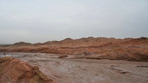 新疆ウィグル自治区・の写真 炎熱の谷から緑の天山へ3-9