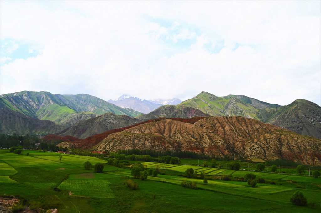 新疆ウィグル自治区・の写真　炎熱の谷から緑の天山へ4-1