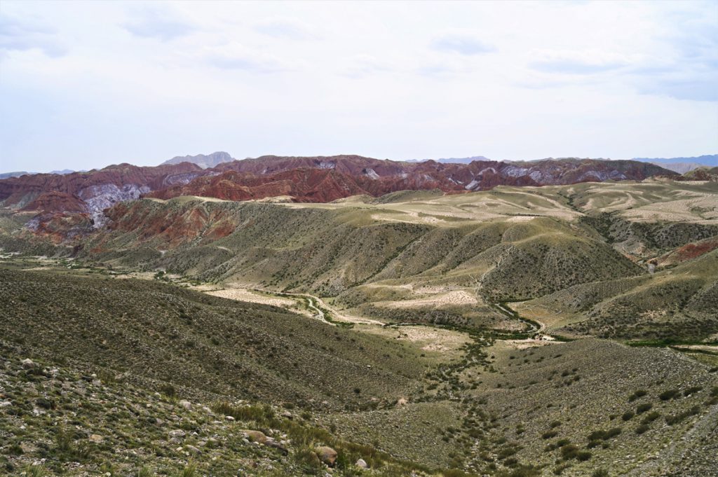新疆ウィグル自治区・の写真　炎熱の谷から緑の天山へ5-4