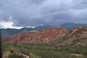 新疆ウィグル自治区・の写真　炎熱の谷から緑の天山へ5-6