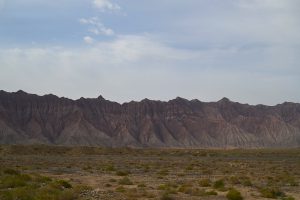 新疆ウィグル自治区・の写真　炎熱の谷から緑の天山へ5-8