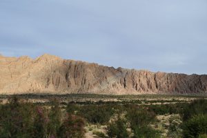 新疆ウィグル自治区・の写真　炎熱の谷から緑の天山へ6-11