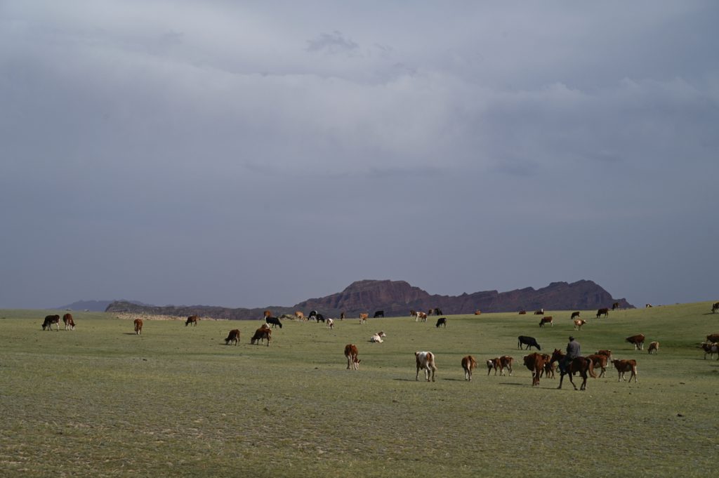 新疆ウィグル自治区・の写真　炎熱の谷から緑の天山へ6-2