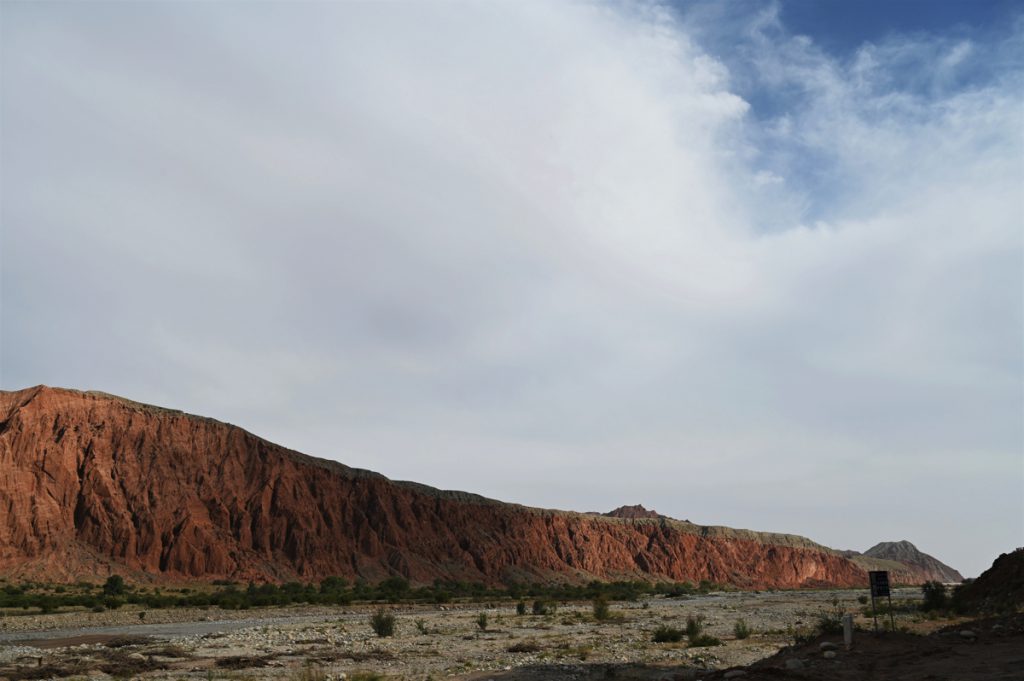 新疆ウィグル自治区・の写真　炎熱の谷から緑の天山へ6-5