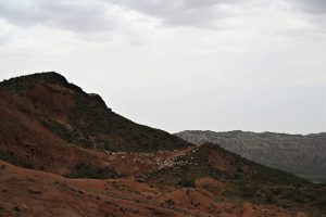 新疆ウィグル自治区・の写真　炎熱の谷から緑の天山へ6-9