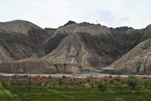 新疆ウィグル自治区・の写真 パミールの宝石2-10