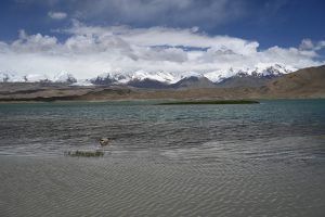 新疆ウィグル自治区・の写真　パミールの宝石5-10