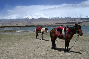 新疆ウィグル自治区・の写真　パミールの宝石5-9