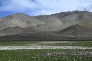 新疆ウィグル自治区・の写真　パミールの宝石6-7