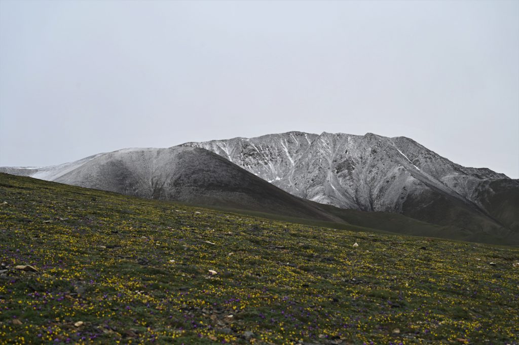新疆ウィグル自治区・の写真　世界の屋根と氷河4-4