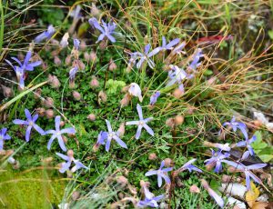 四川省・の写真　木里（muli)王国（ジョセフ・ロックの足跡を訪ねて）3-11