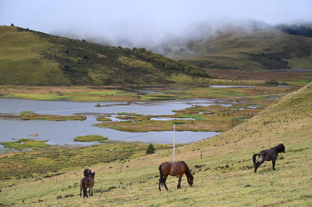 四川省・の写真　木里（muli)王国（ジョセフ・ロックの足跡を訪ねて）3-2