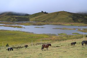 四川省・の写真　木里（muli)王国（ジョセフ・ロックの足跡を訪ねて）3-8