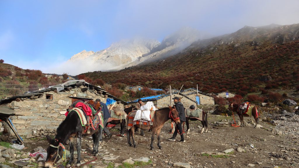 四川省・の写真　亞丁転山5-5