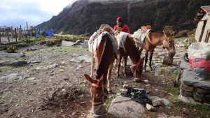 四川省・の写真　亞丁転山5-7