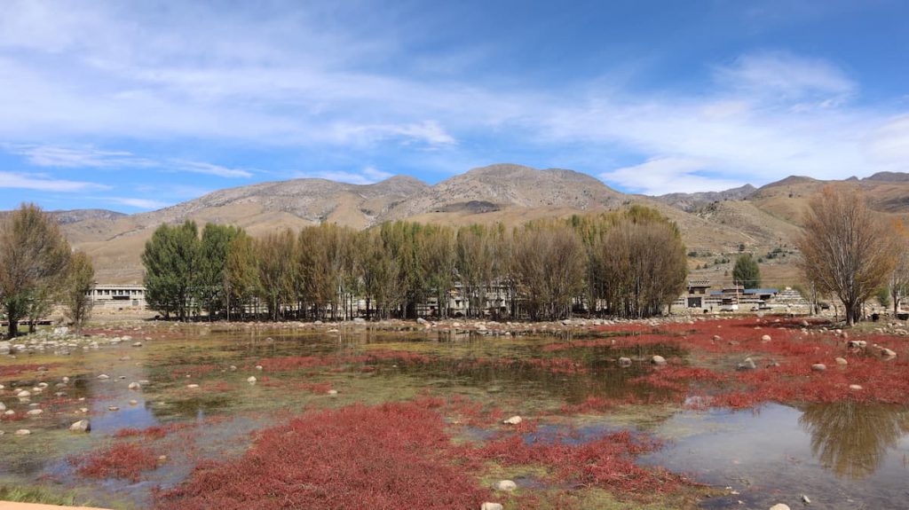 四川省・の写真 亞丁から白玉へ2-1