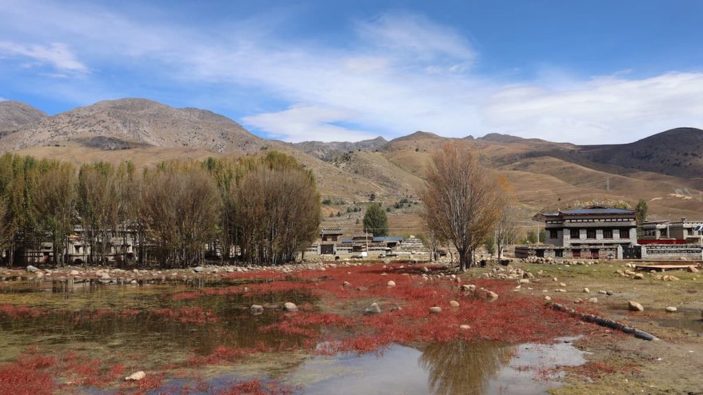 四川省・の写真 亞丁から白玉へ2-2