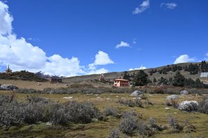 四川省・の写真 亞丁から白玉へ5-7