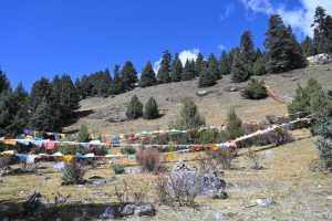 四川省・の写真 亞丁から白玉へ5-9