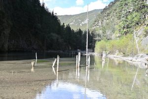 四川省・の写真　亞丁から白玉へ7-10