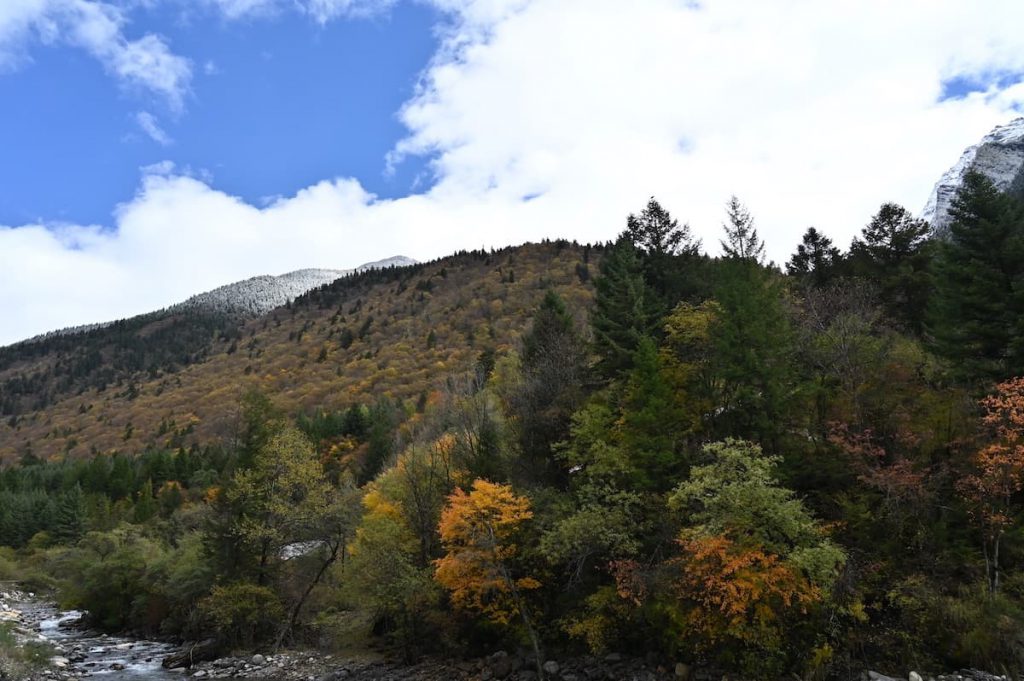 四川省・の写真　景観国道317号を行く9-4