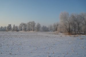 吉林省・の写真　冬の恋情その1-10-10