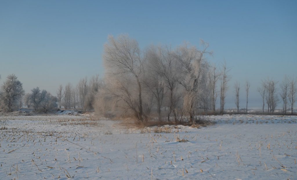 吉林省・の写真　冬の恋情その1-10-3