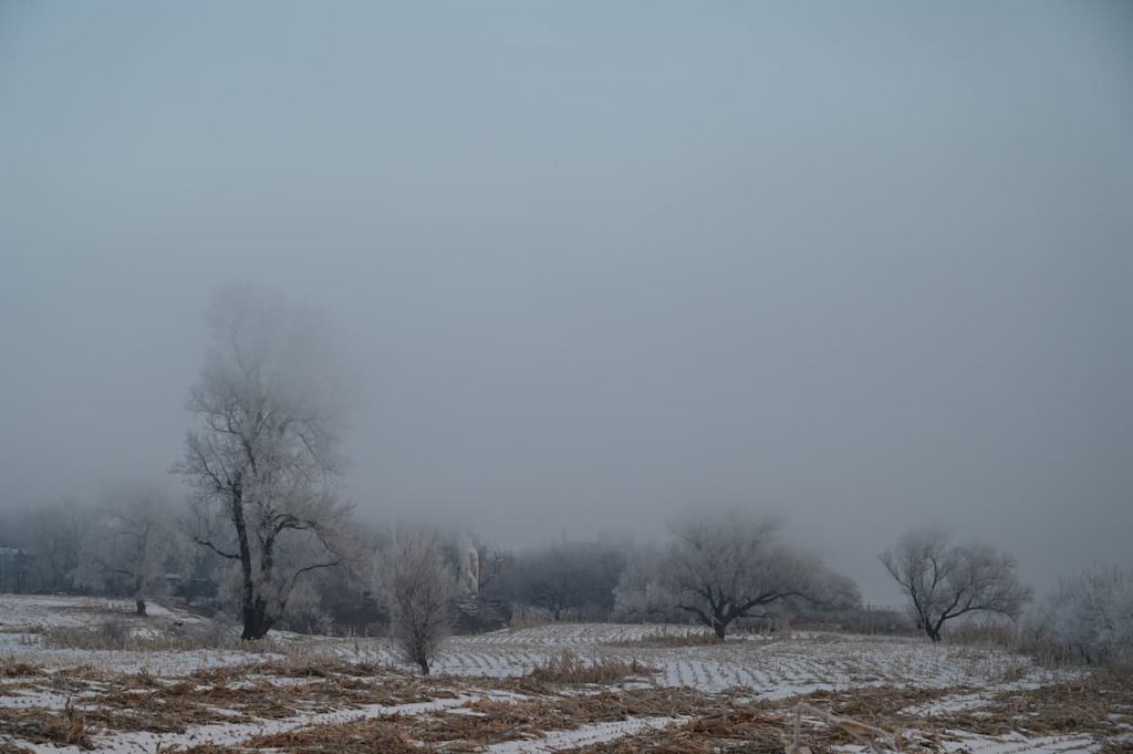 吉林省・の写真　冬の恋情その1-10-4