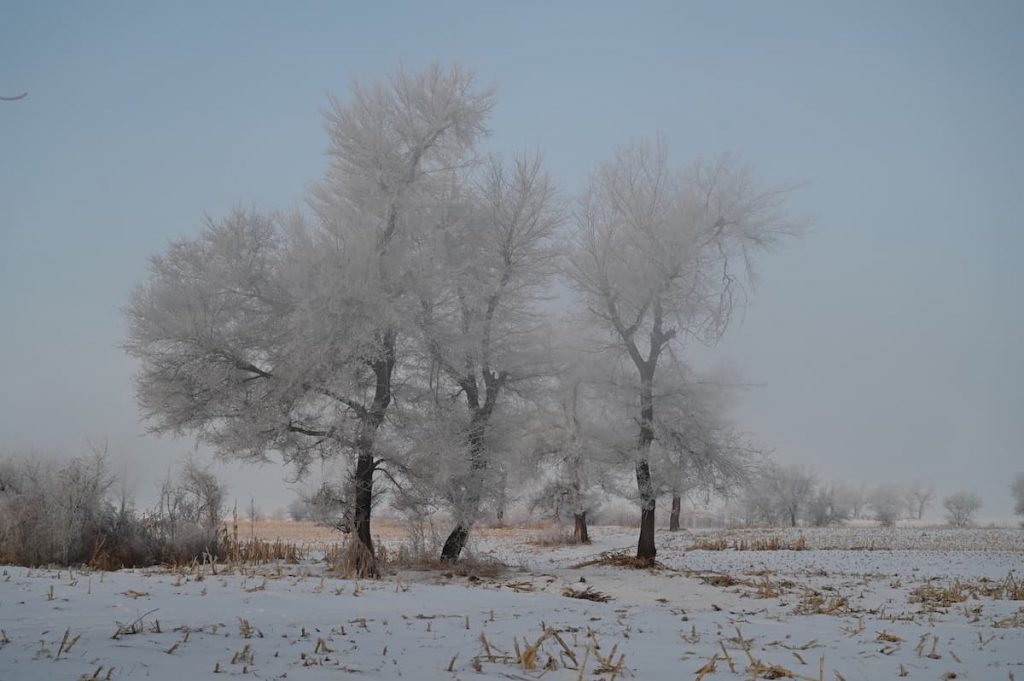 吉林省・の写真　冬の恋情その1-10-5