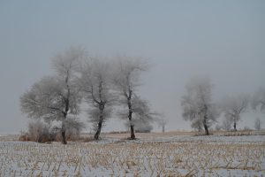 吉林省・の写真　冬の恋情その1-10-6