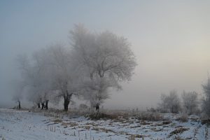 吉林省・の写真　冬の恋情その1-10-8