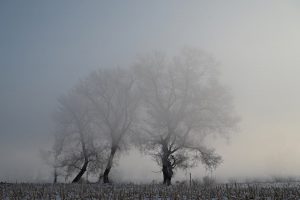 吉林省・の写真　冬の恋情その1-10-9