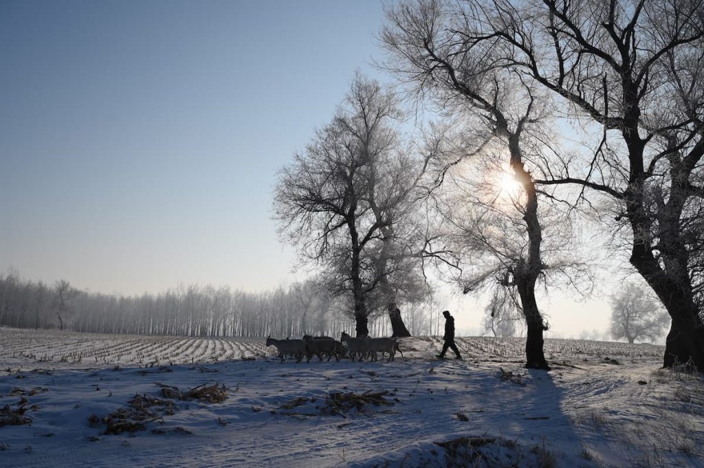 吉林省・の写真 冬の恋情その1-11-1