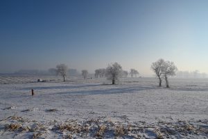 吉林省・の写真 冬の恋情その1-11-10