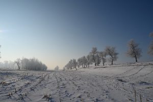 吉林省・の写真 冬の恋情その1-11-11