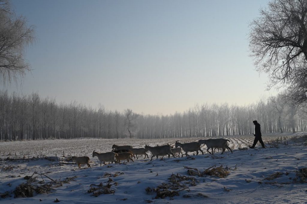 吉林省・の写真 冬の恋情その1-11-3