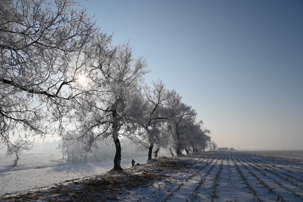 吉林省・の写真 冬の恋情その1-11-4