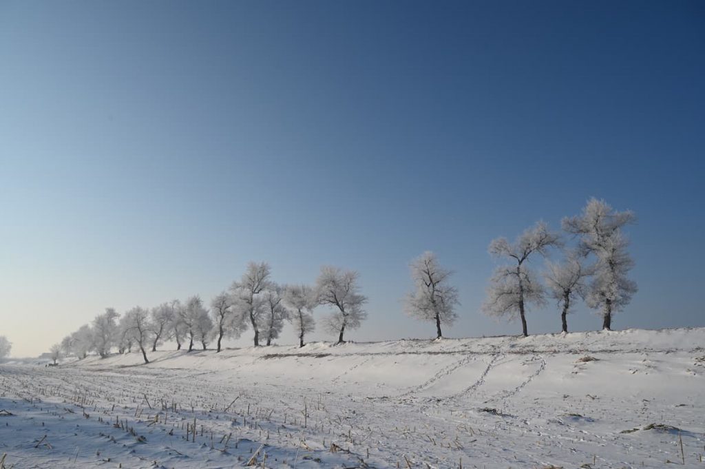 吉林省・の写真 冬の恋情その1-11-5